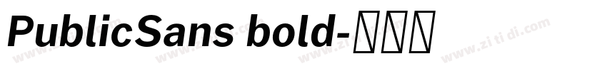 PublicSans bold字体转换